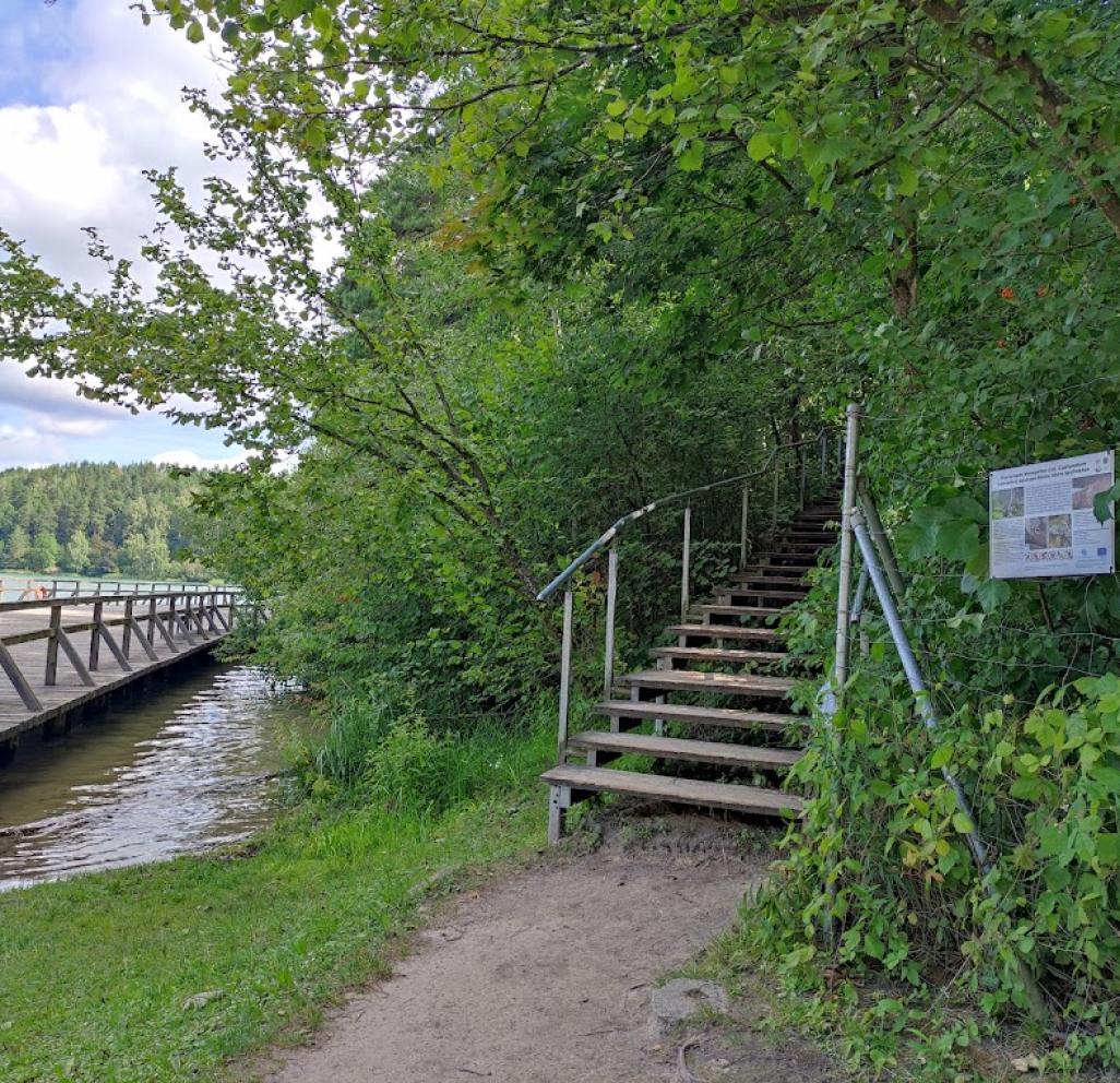 Pažintinis pėsčiųjų žygis Verkių regioniniame parke po Žaliųjų ežerų apylinkes